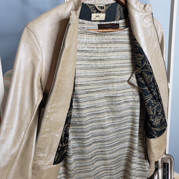 The Limited glitter stripe crew short contrast sleeve top S ♡ - Picture 6 of 13